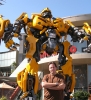 BumblebeeSC.jpg