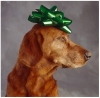 xmasgoldie.png